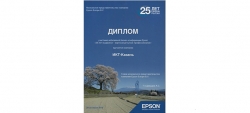 Диплом участника юбилейной бизнес конференции Epson